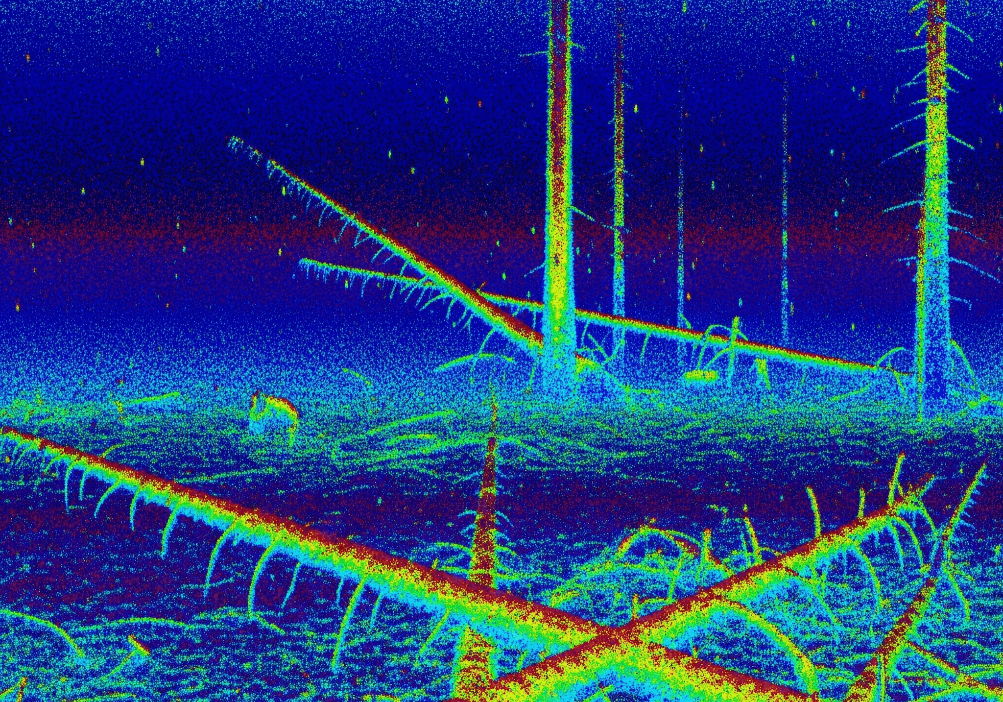 Prairie3D-Geoinformatics_Saskatoon-Saskatchewan_side scan sonar underwater trees