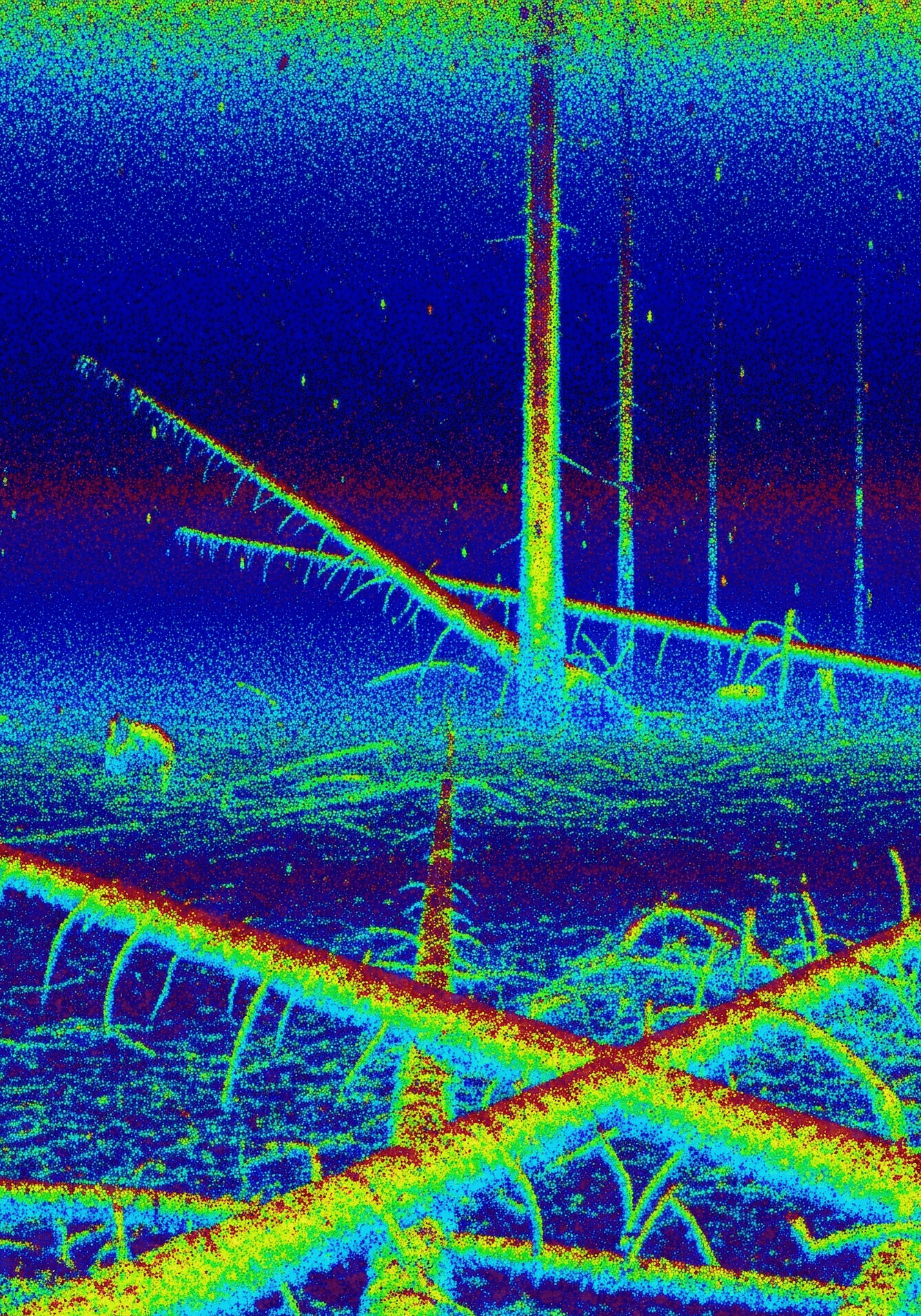 Prairie3D-Geoinformatics_Saskatoon-Saskatchewan_side scan sonar underwater trees
